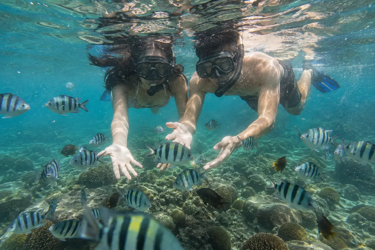 Resort Pulau Seribu untuk Honeymoon: Pilihan Liburan Berdua 11 aktivitas honeymoon di Kepulauan Seribu