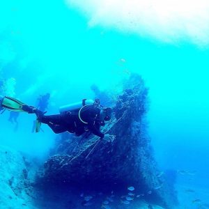 diving Wisata Pulau Papatheo