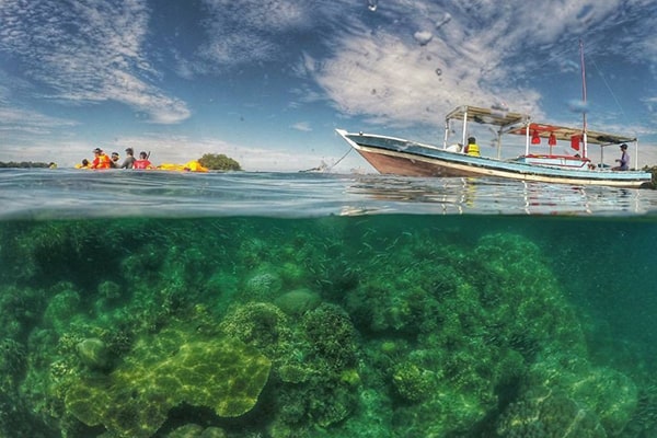 tour pulau harapan snorkling murah