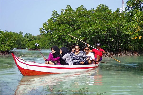 wisata pulau pari murah destinasi pohon mangrove